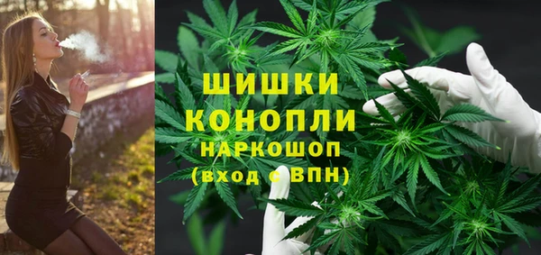бошки Алексин