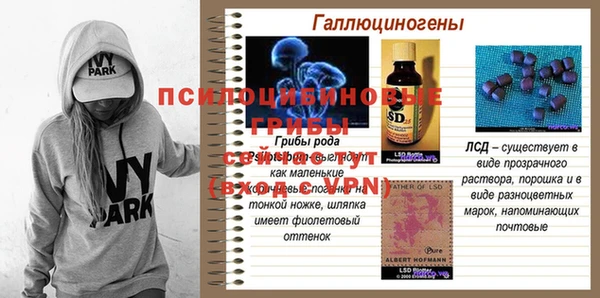 ПСИЛОЦИБИНОВЫЕ ГРИБЫ Алзамай