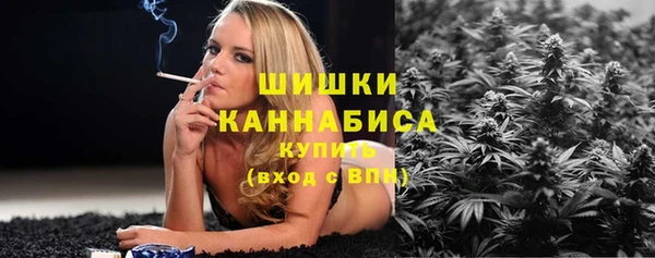 бошки Алексин