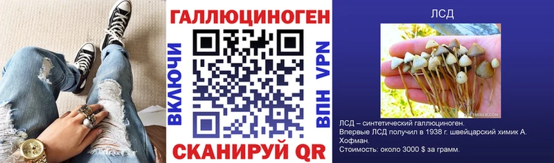ссылка на мегу как войти  Сенгилей  Галлюциногенные грибы Cubensis 